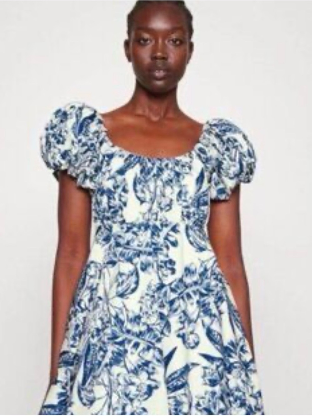 Abercrombie Blue and White Puff Sleeve Floral Dress